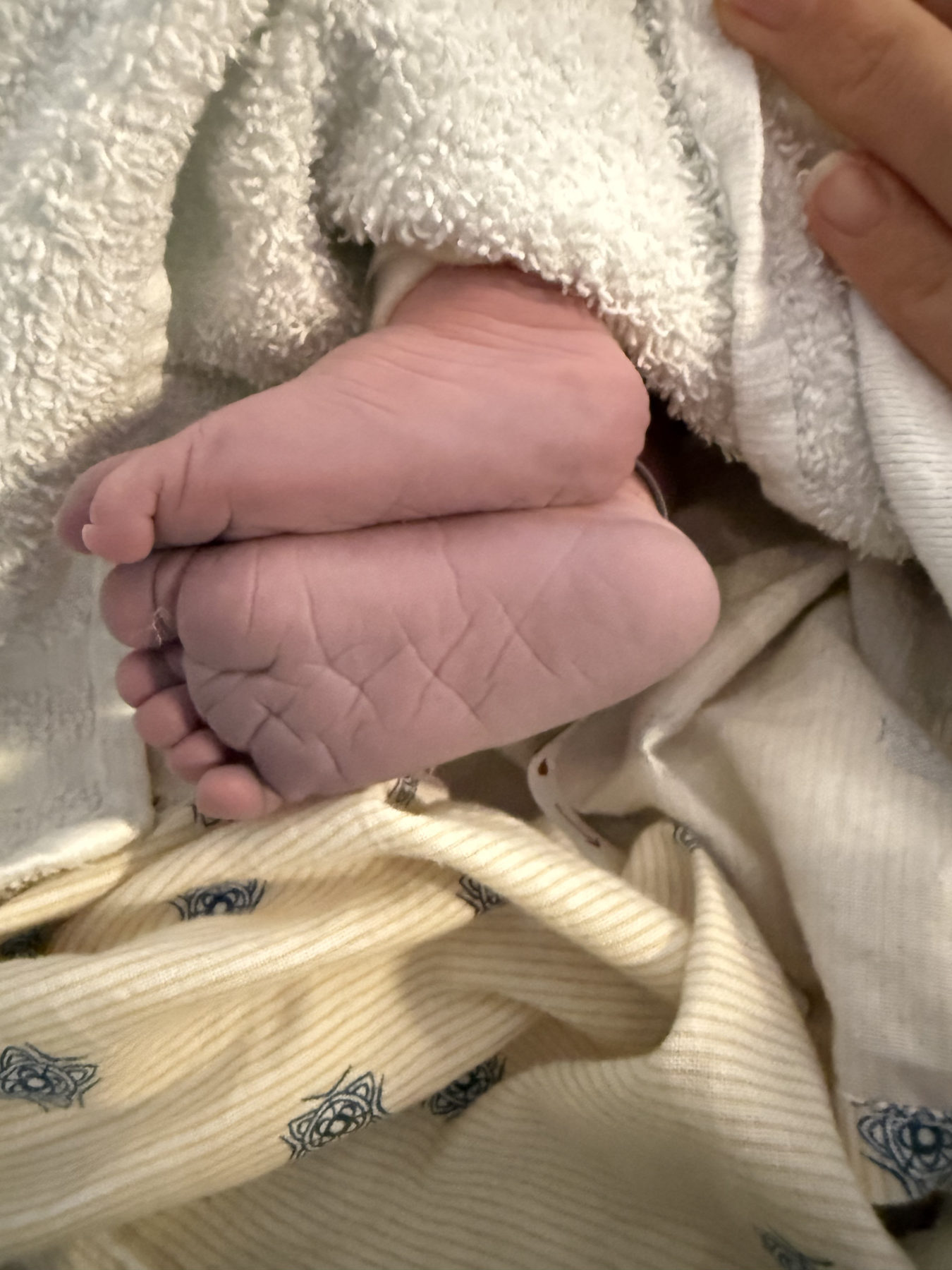 Olive Branch Birth Doula photo two