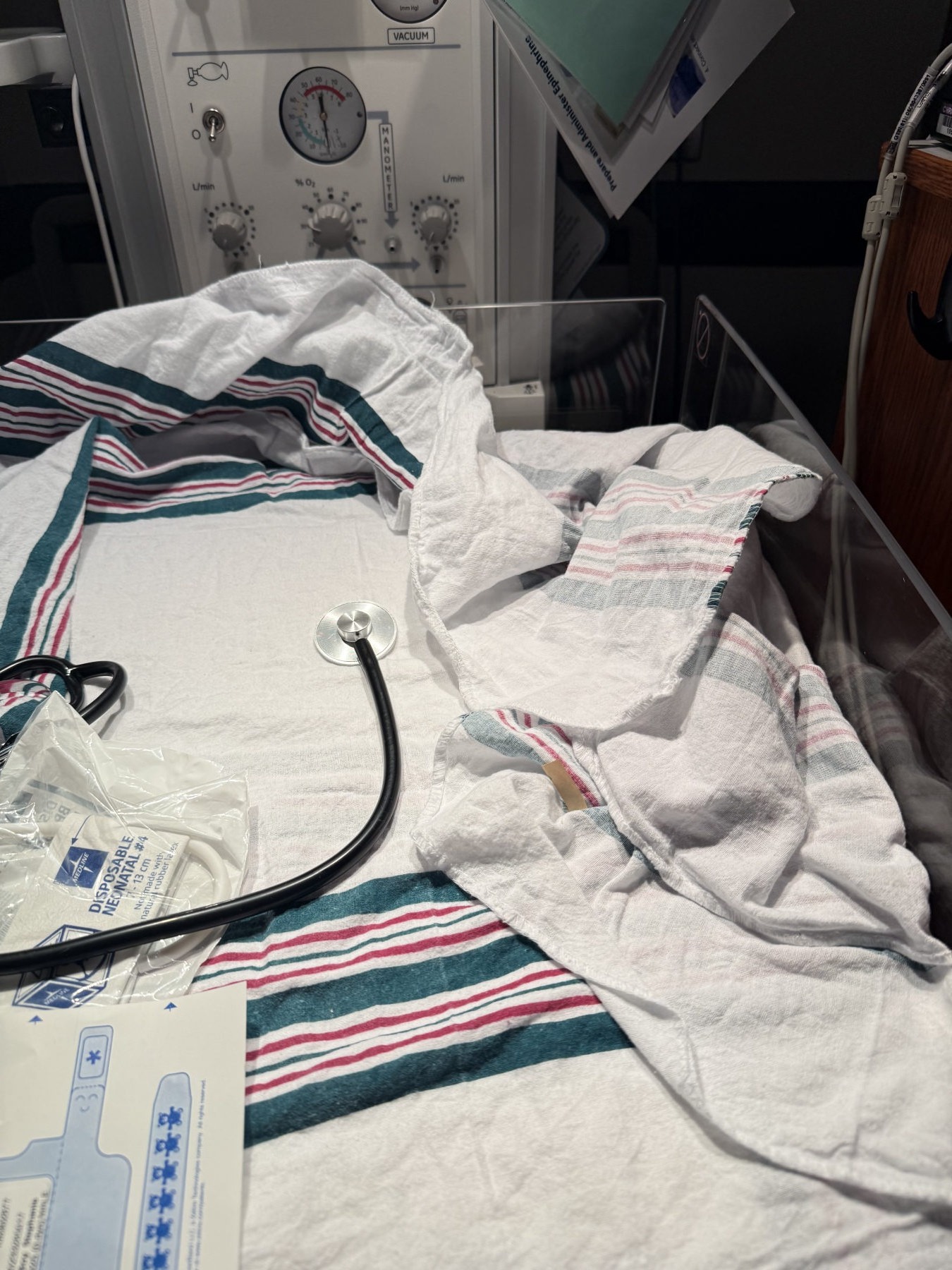 Olive Branch Birth Doula photo four