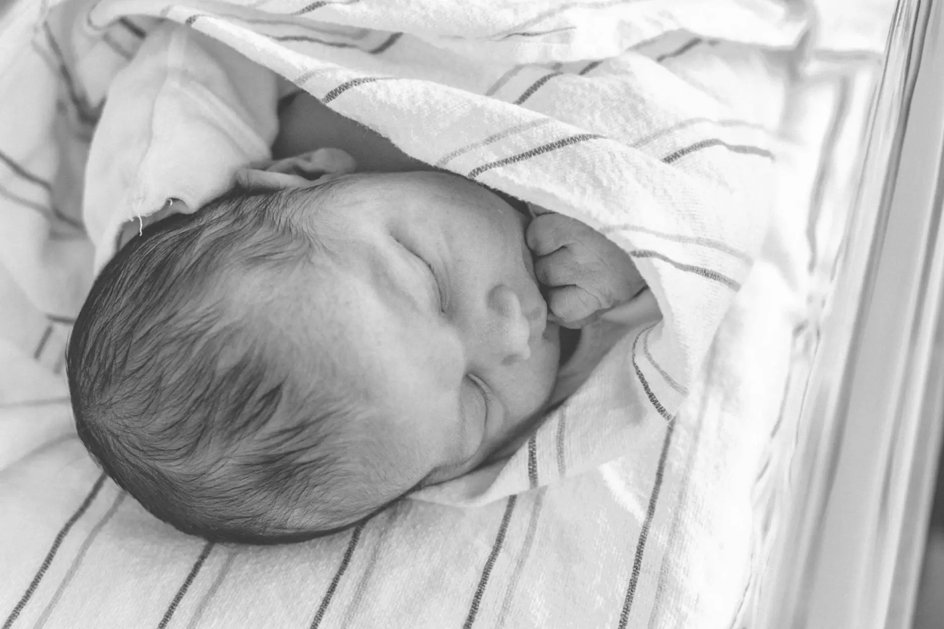 Womb to World Bundle